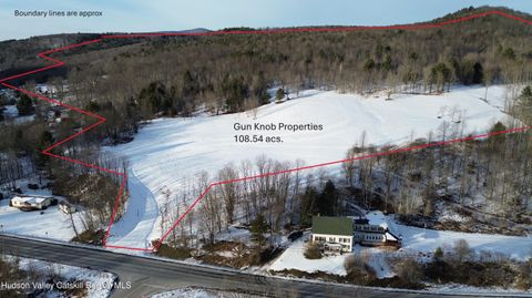 Vacant Land For Sale - 11400 New York 23<br/> Ashland, NY 12407