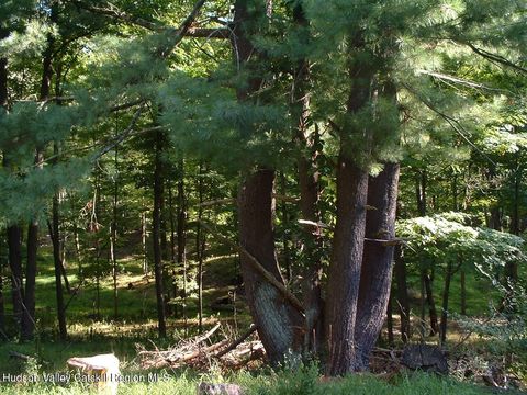 Vacant Land For Sale - 94 Miller Road Road<br/> Hudson, NY 12534