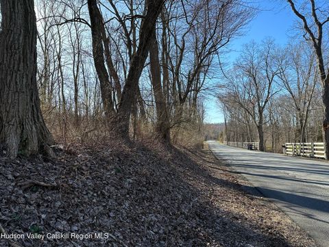 Vacant Land For Sale - Schoolhouse Road<br/> Staatsburg, NY 12580