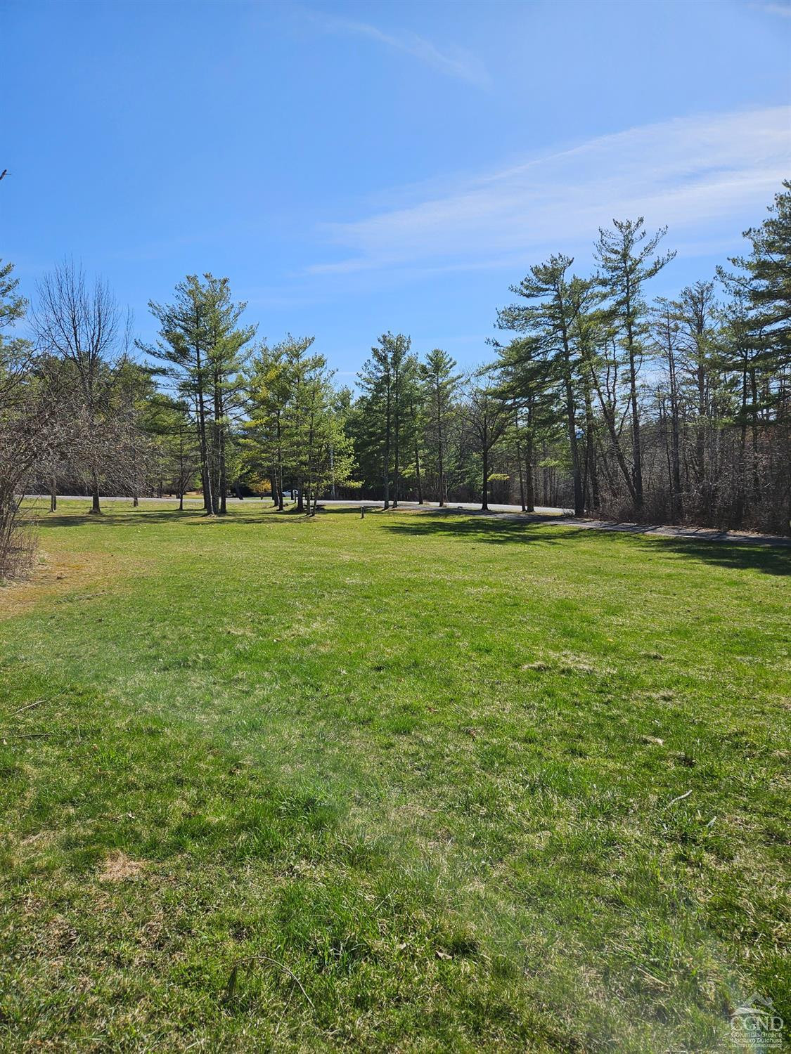 186 Meadow Brook Lane, Greenville, New York image 6