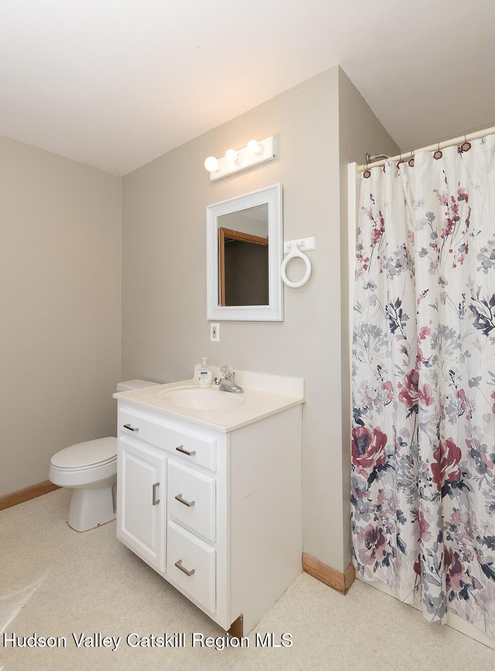 186 Meadow Brook Lane, Greenville, New York image 18