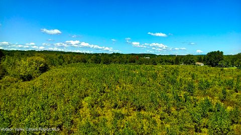 Vacant Land For Sale - 00 N Vernon Street<br/> Greene County, Athens, NY 12015