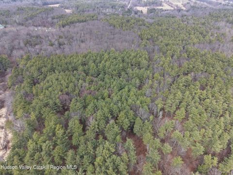 Vacant Land For Sale - LOT 54 Route 51<br/> Hannacroix, NY 12087