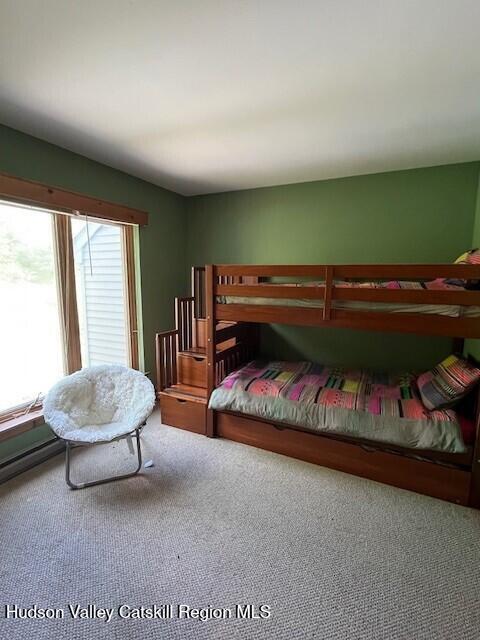 45 Windham Ridge Road #15 C, Windham, New Mexico image 17