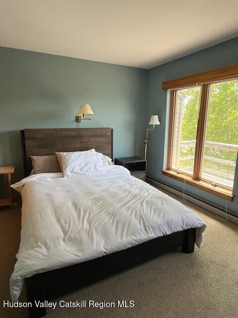 45 Windham Ridge Road #15 C, Windham, New Mexico image 12