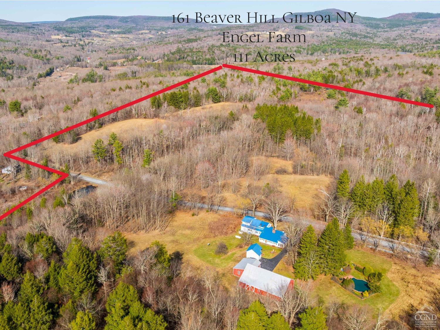 161 Beaver Hill Road, Gilboa, New York image 1