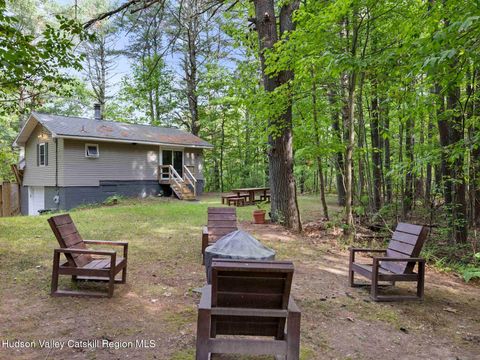 Photo of 44 Pine Creek Drive, Catskill, NY 12414 (MLS # 20262665)