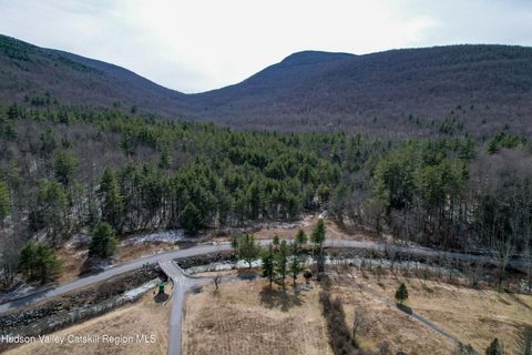 Vacant Land For Sale - TBD Spruceton Road<br/> West Kill, NY 12492