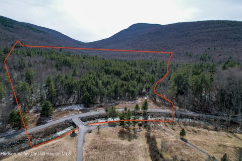 Vacant Land For Sale - TBD Spruceton Road<br/> West Kill, NY 12492
