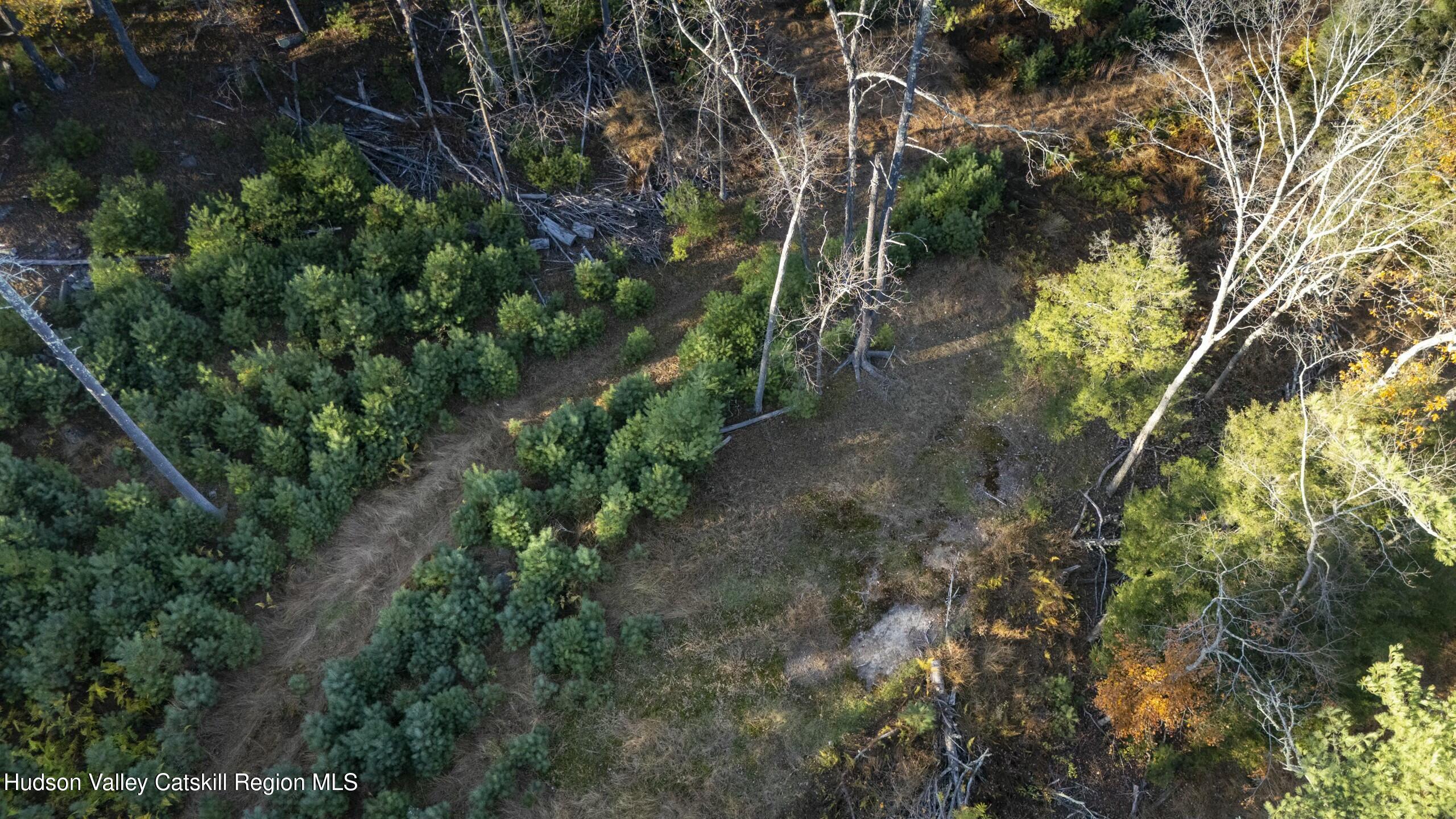 Woodstock, New York 12498, United States, ,Land,Active,80055