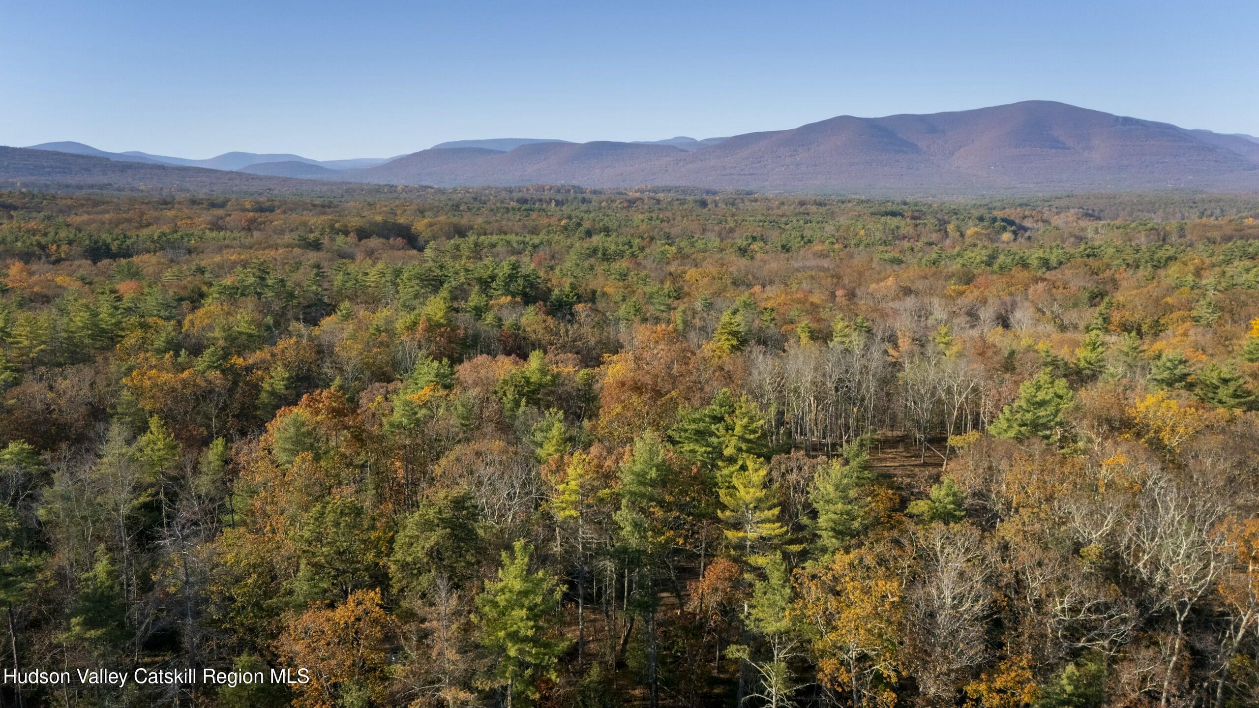 Woodstock, New York 12498, United States, ,Land,Active,80055