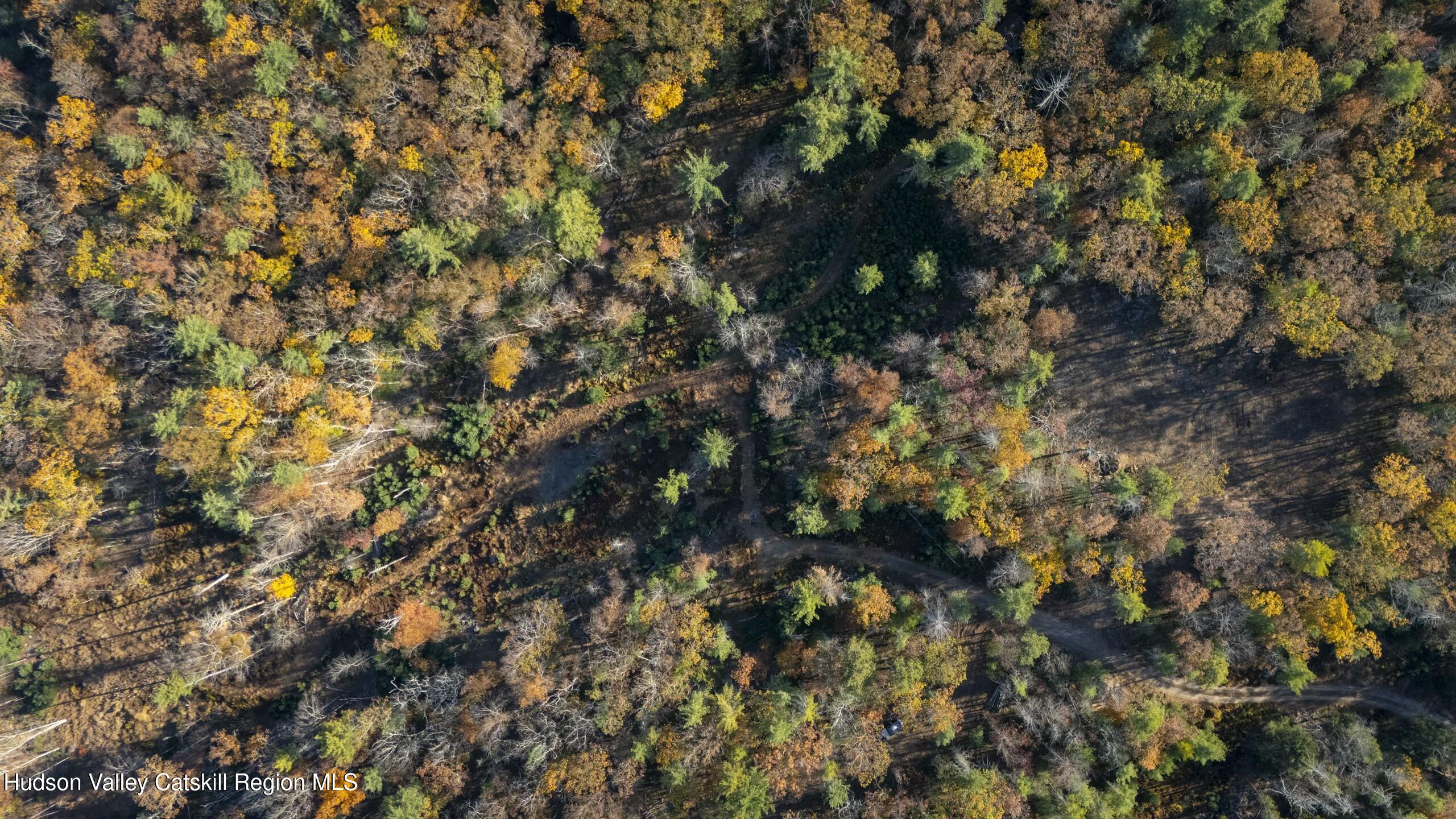 Woodstock, New York 12498, United States, ,Land,Active,80055