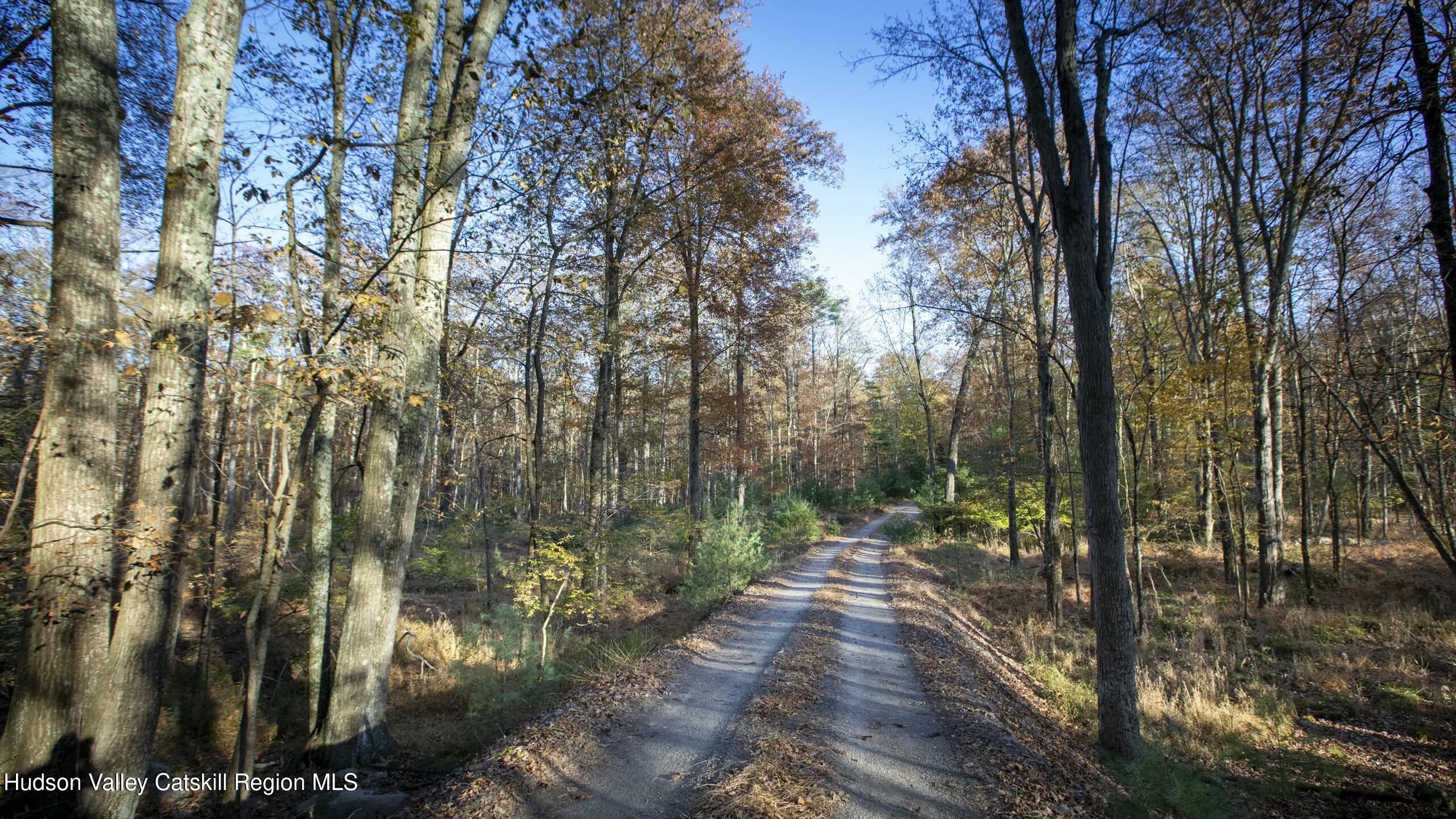 Woodstock, New York 12498, United States, ,Land,Active,80055