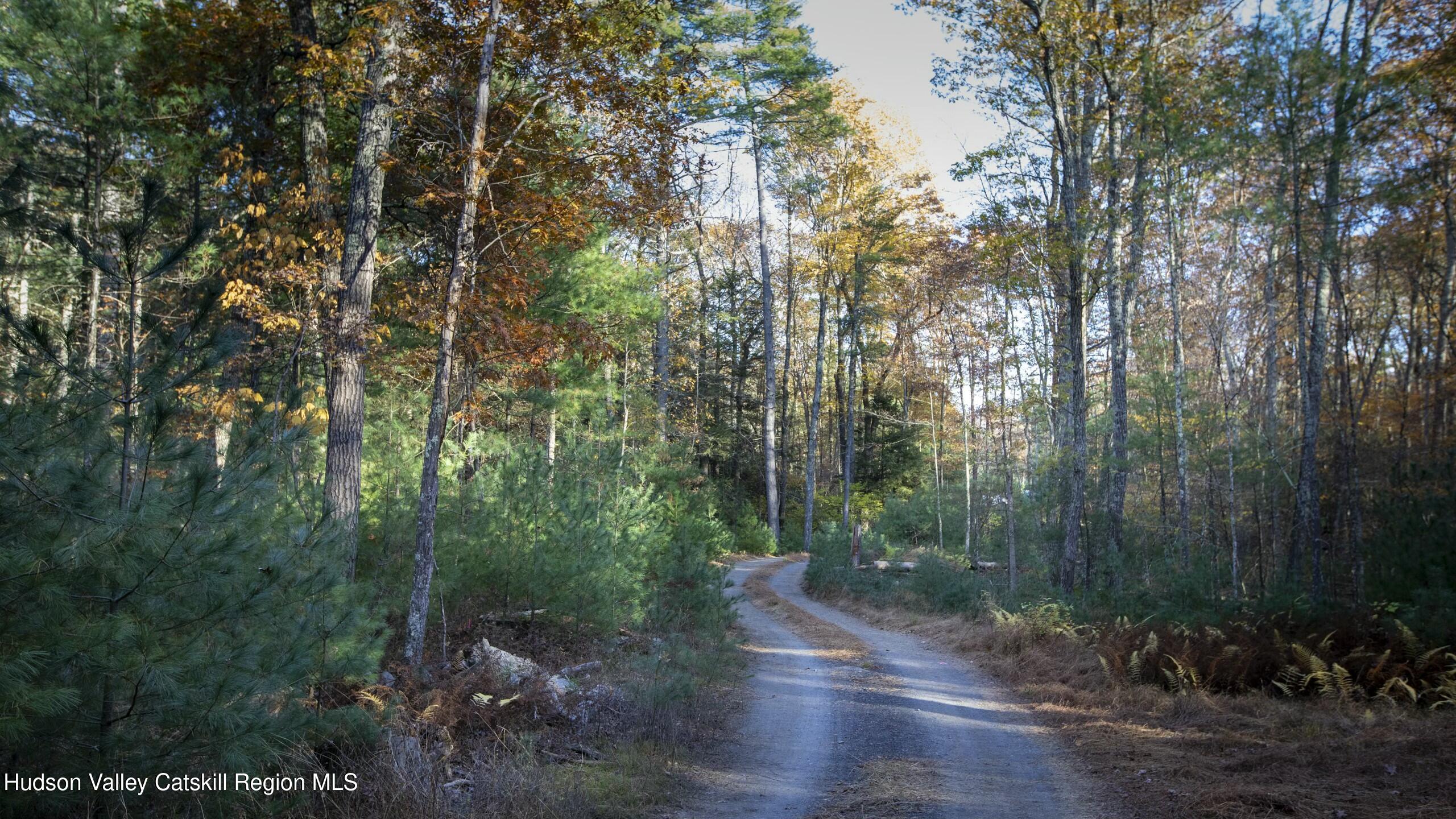 Woodstock, New York 12498, United States, ,Land,Active,80055