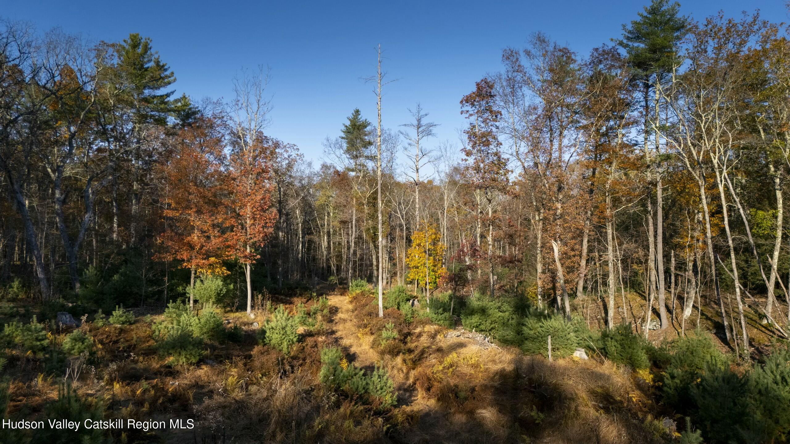 Woodstock, New York 12498, United States, ,Land,Active,80055