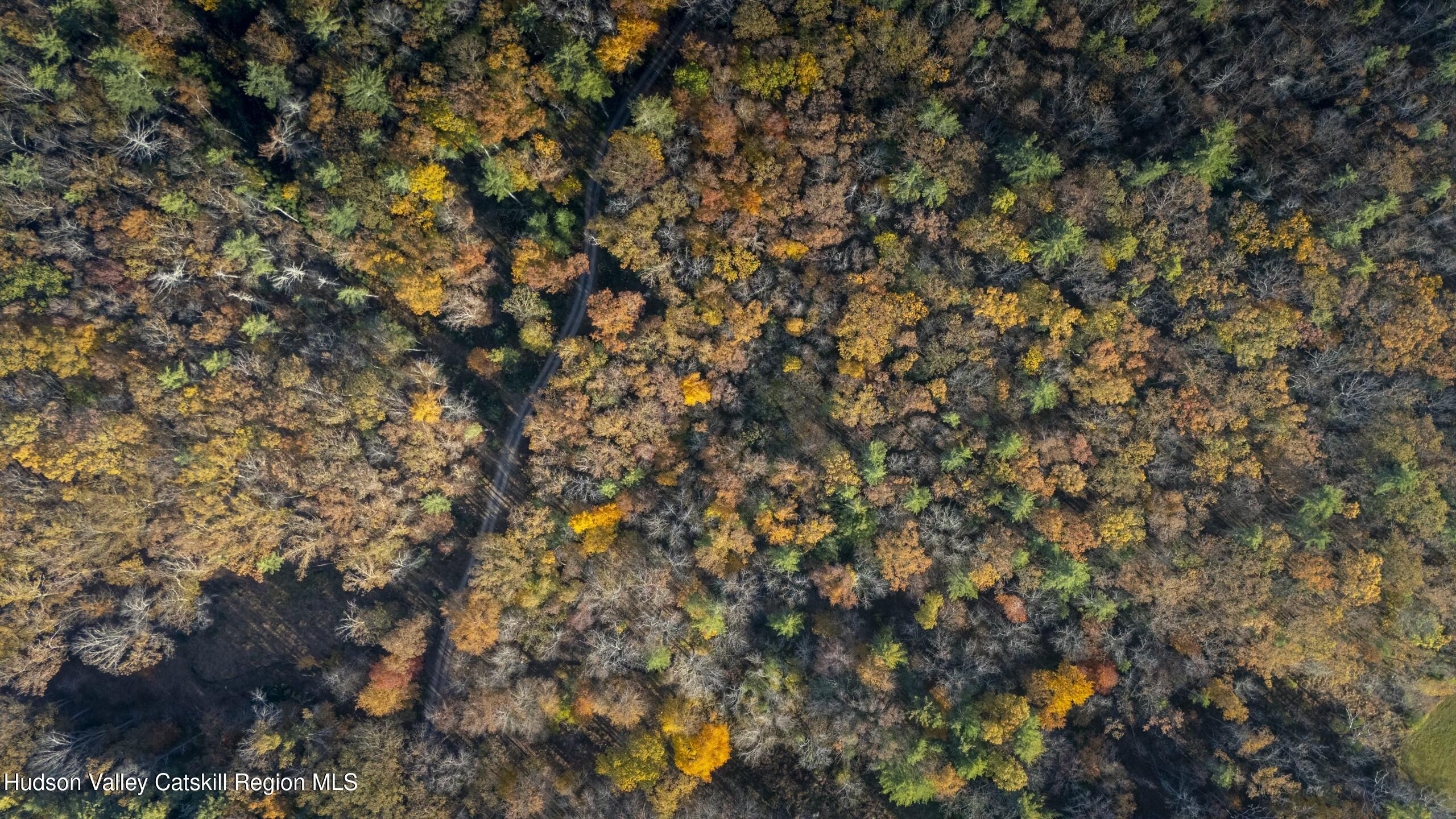 Woodstock, New York 12498, United States, ,Land,Active,80055