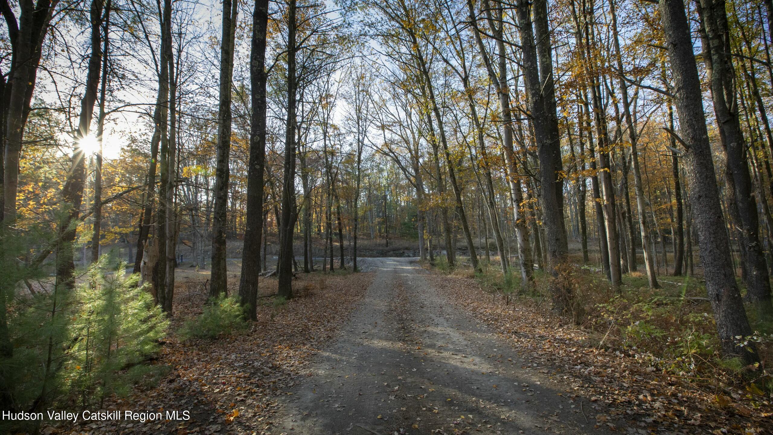 Woodstock, New York 12498, United States, ,Land,Active,80055