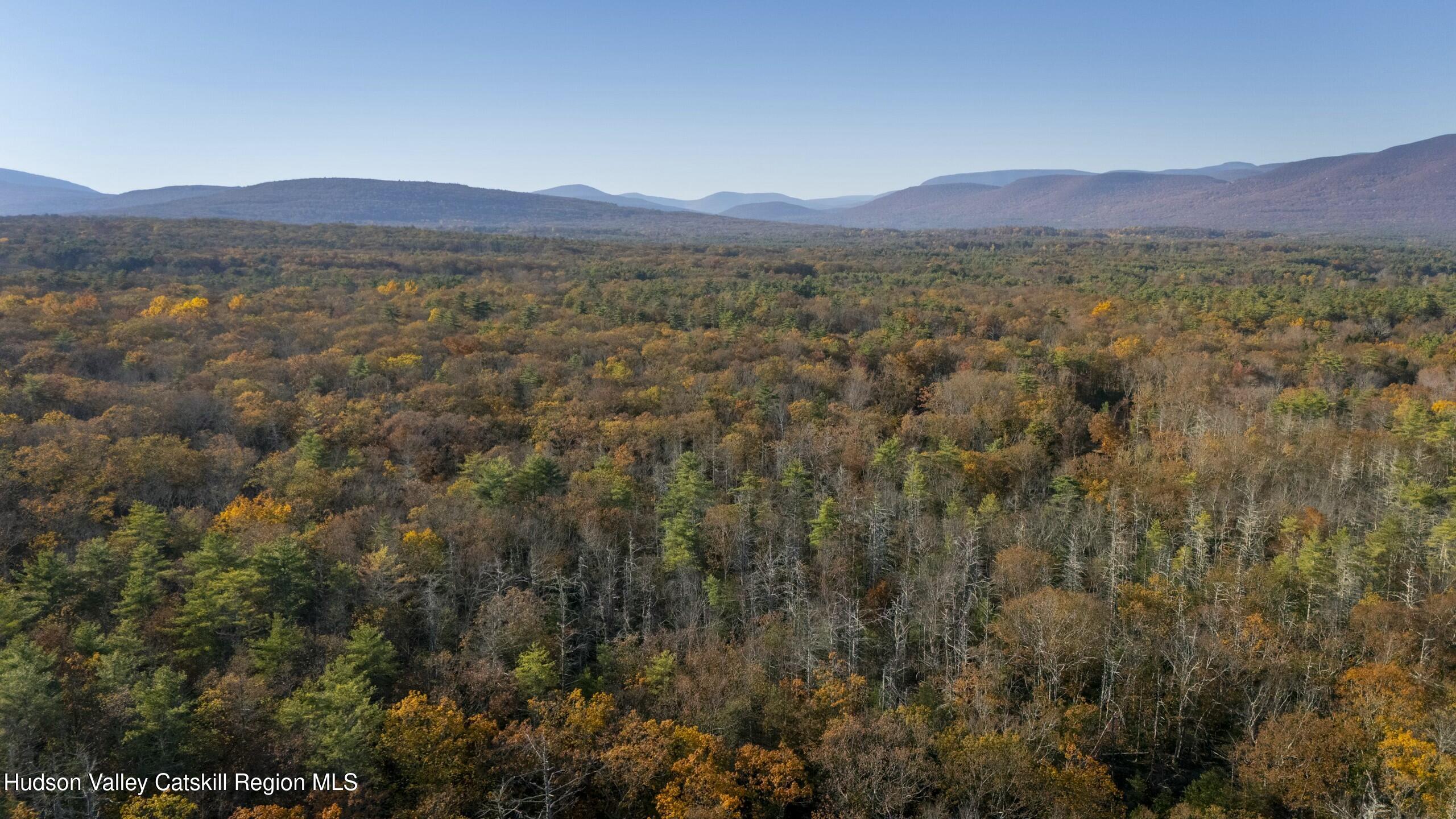 Woodstock, New York 12498, United States, ,Land,Active,80055