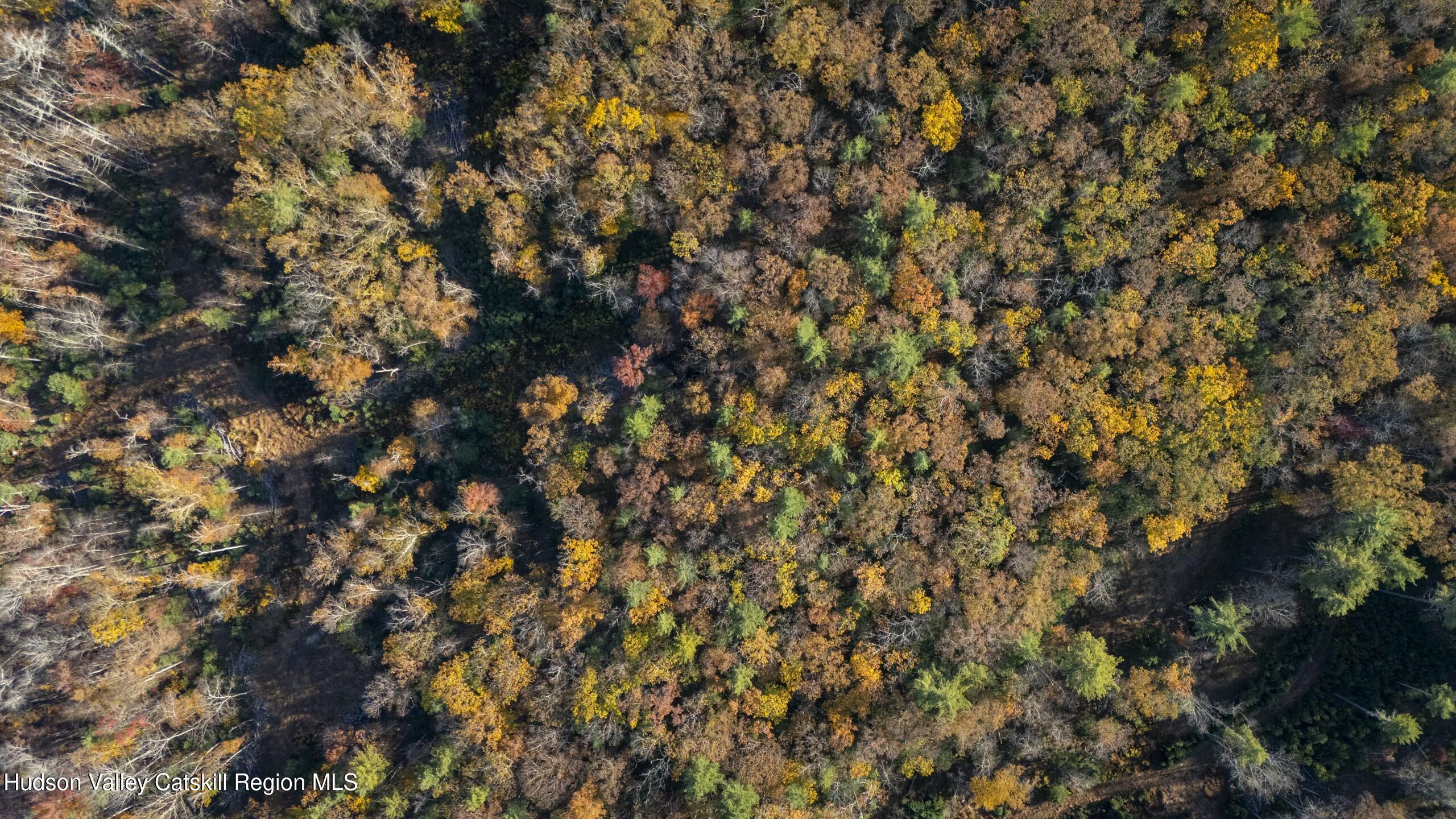 Woodstock, New York 12498, United States, ,Land,Active,80055