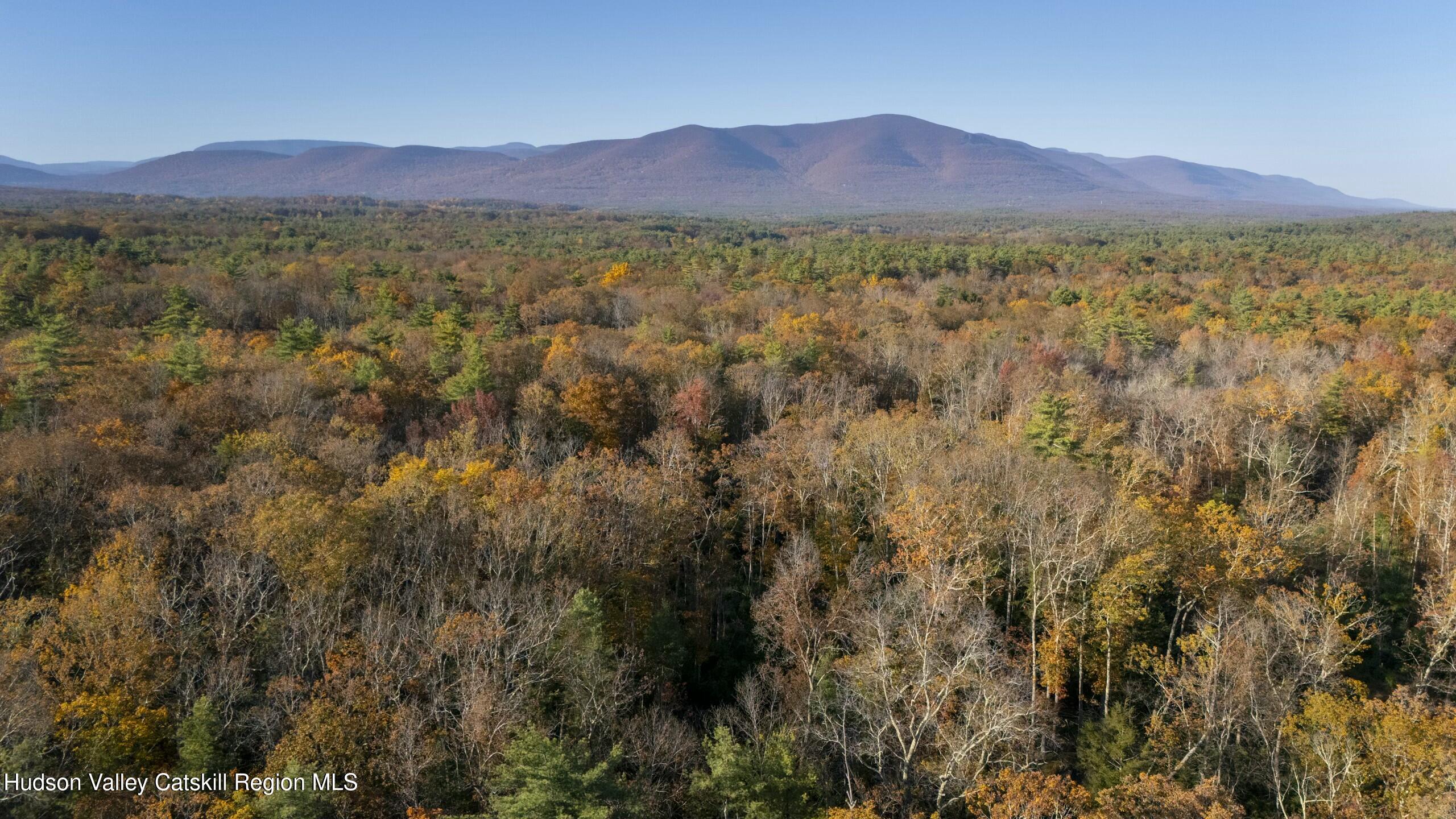 Woodstock, New York 12498, United States, ,Land,Active,80055