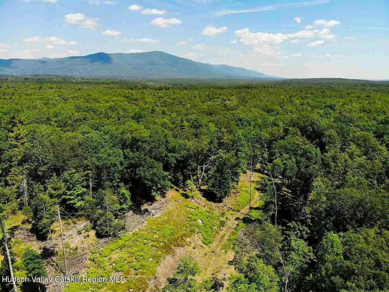 Woodstock, New York 12498, United States, ,Land,Active,80055