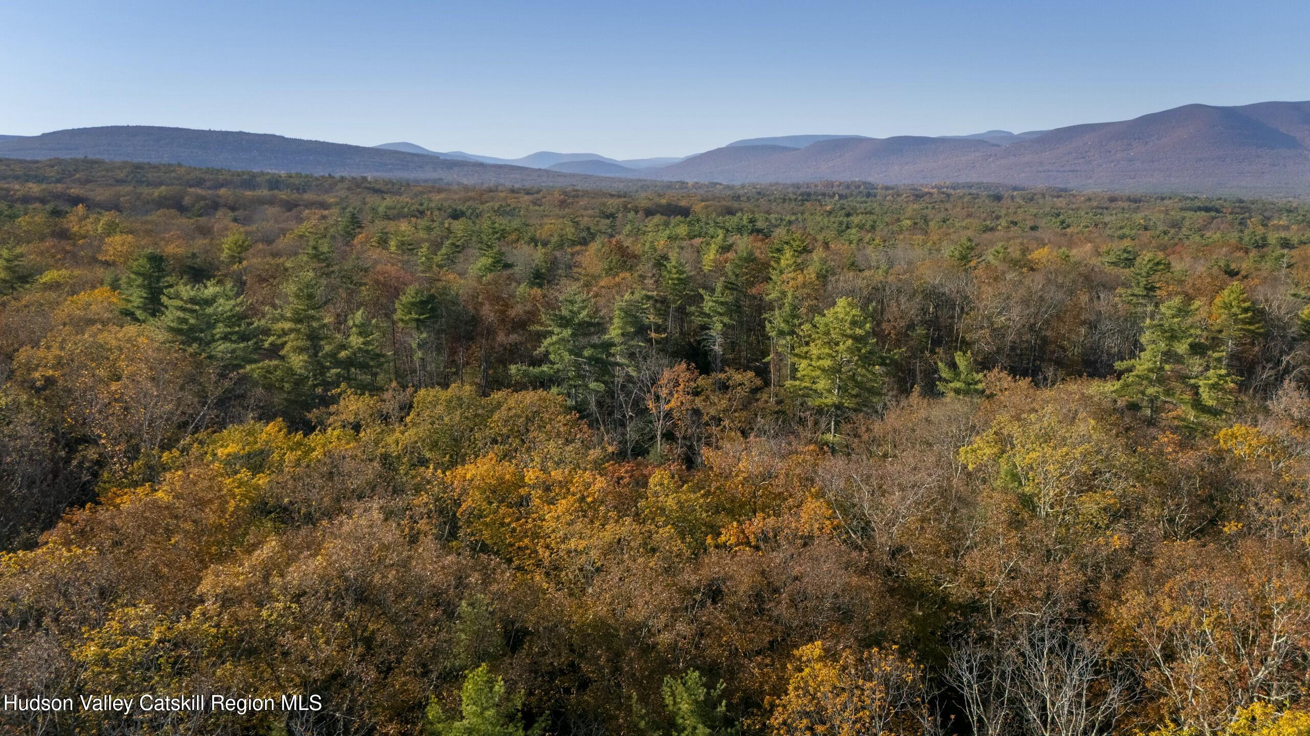Woodstock, New York 12498, United States, ,Land,Active,80055