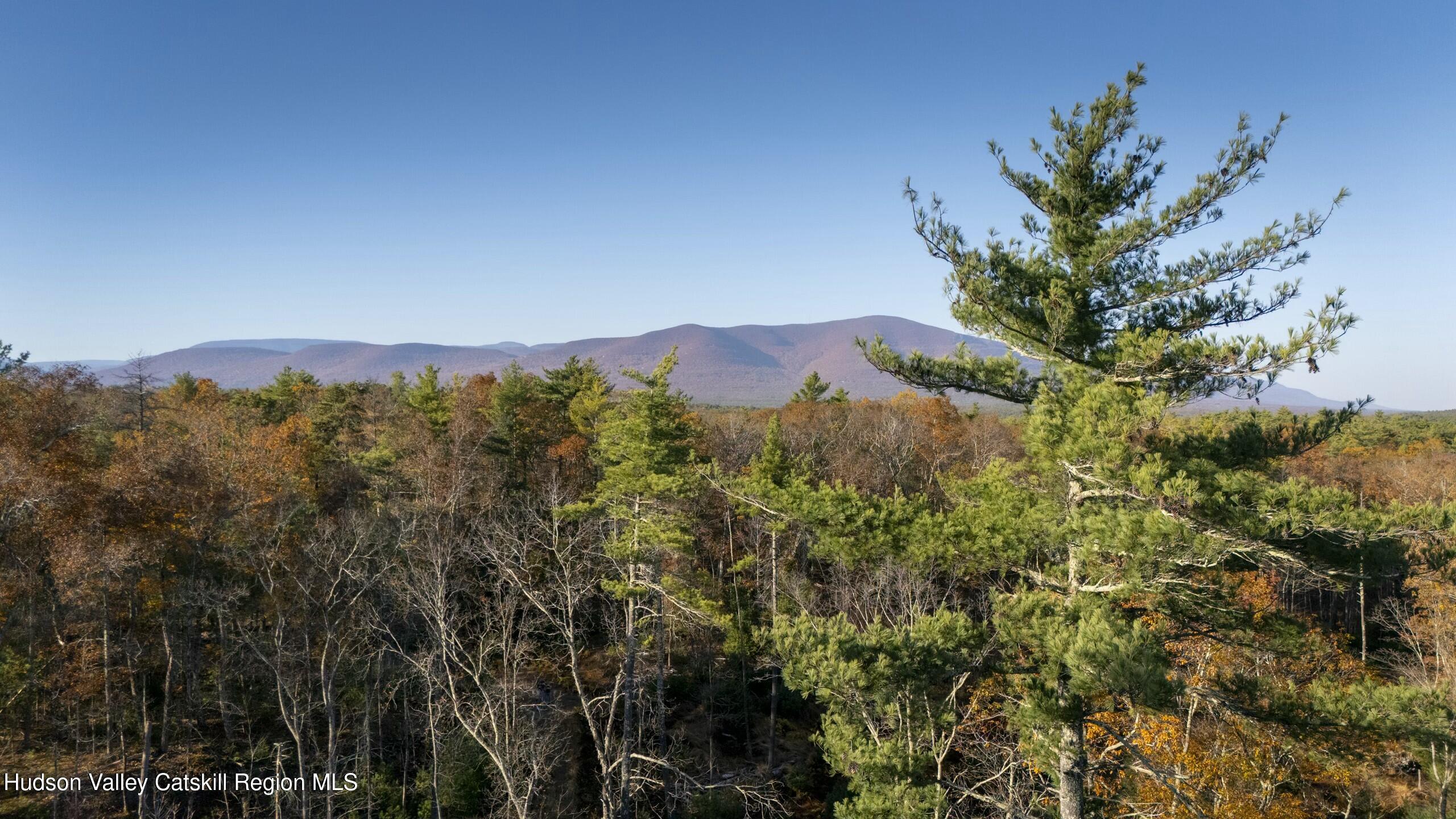 Woodstock, New York 12498, United States, ,Land,Active,80055