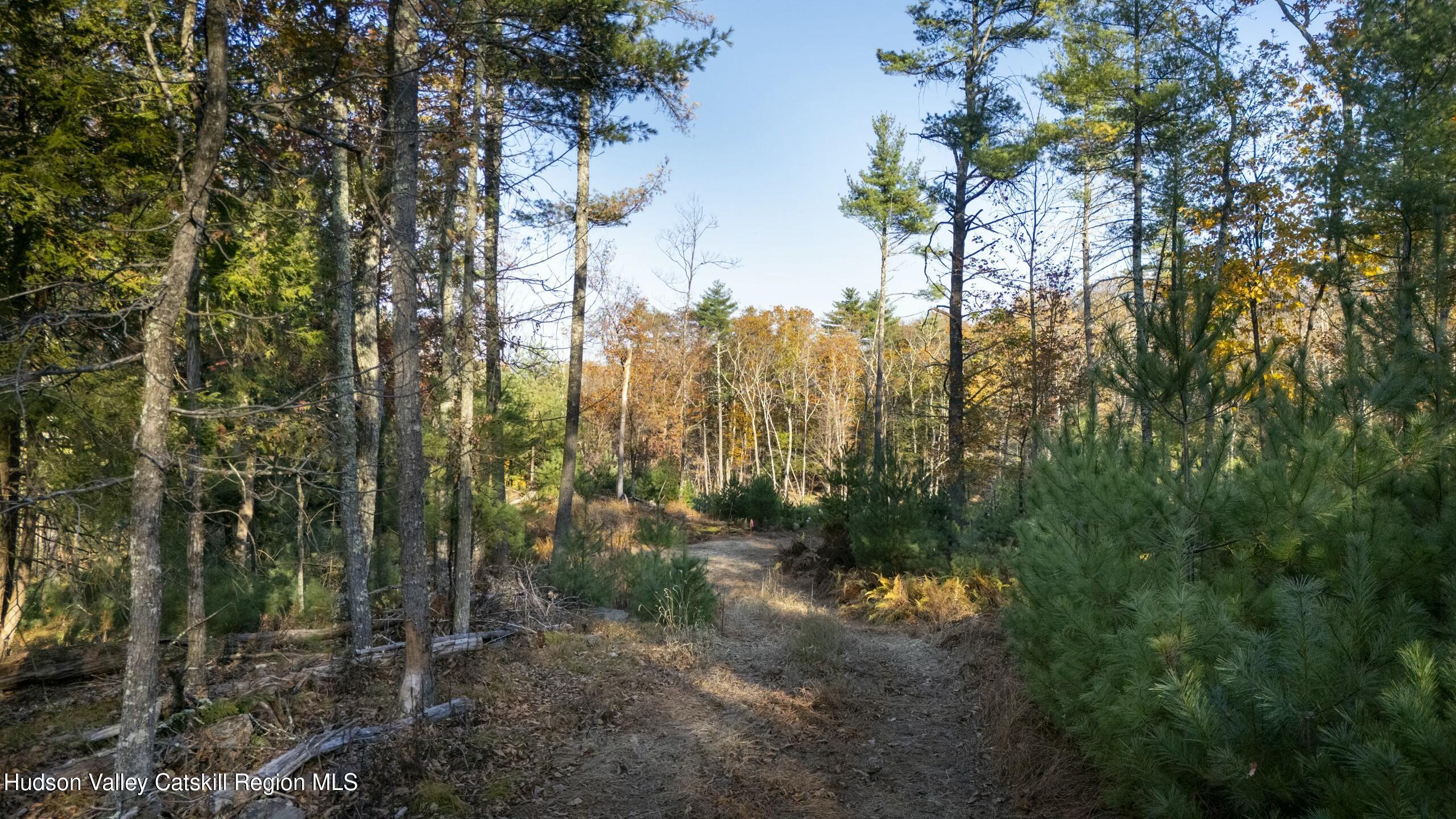 Woodstock, New York 12498, United States, ,Land,Active,80055