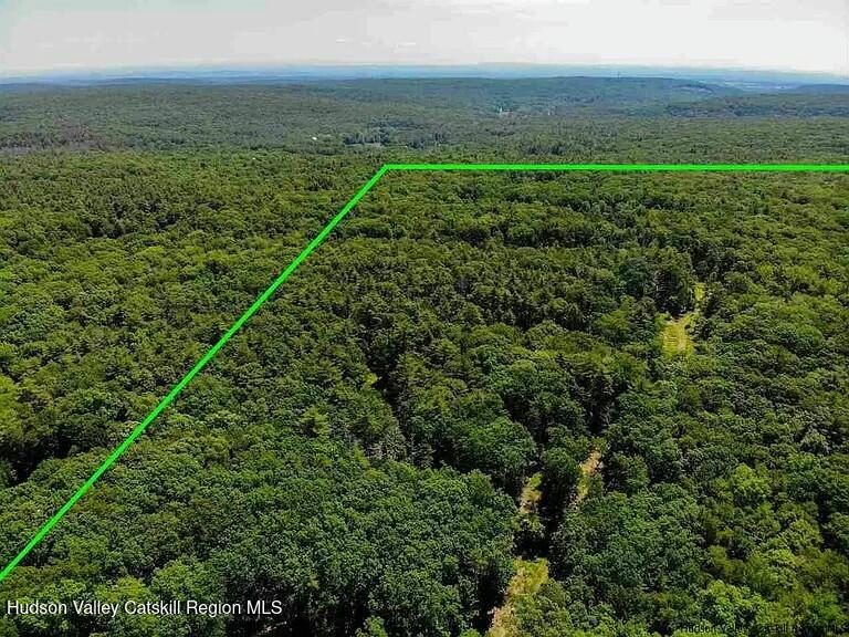 Woodstock, New York 12498, United States, ,Land,Active,80055