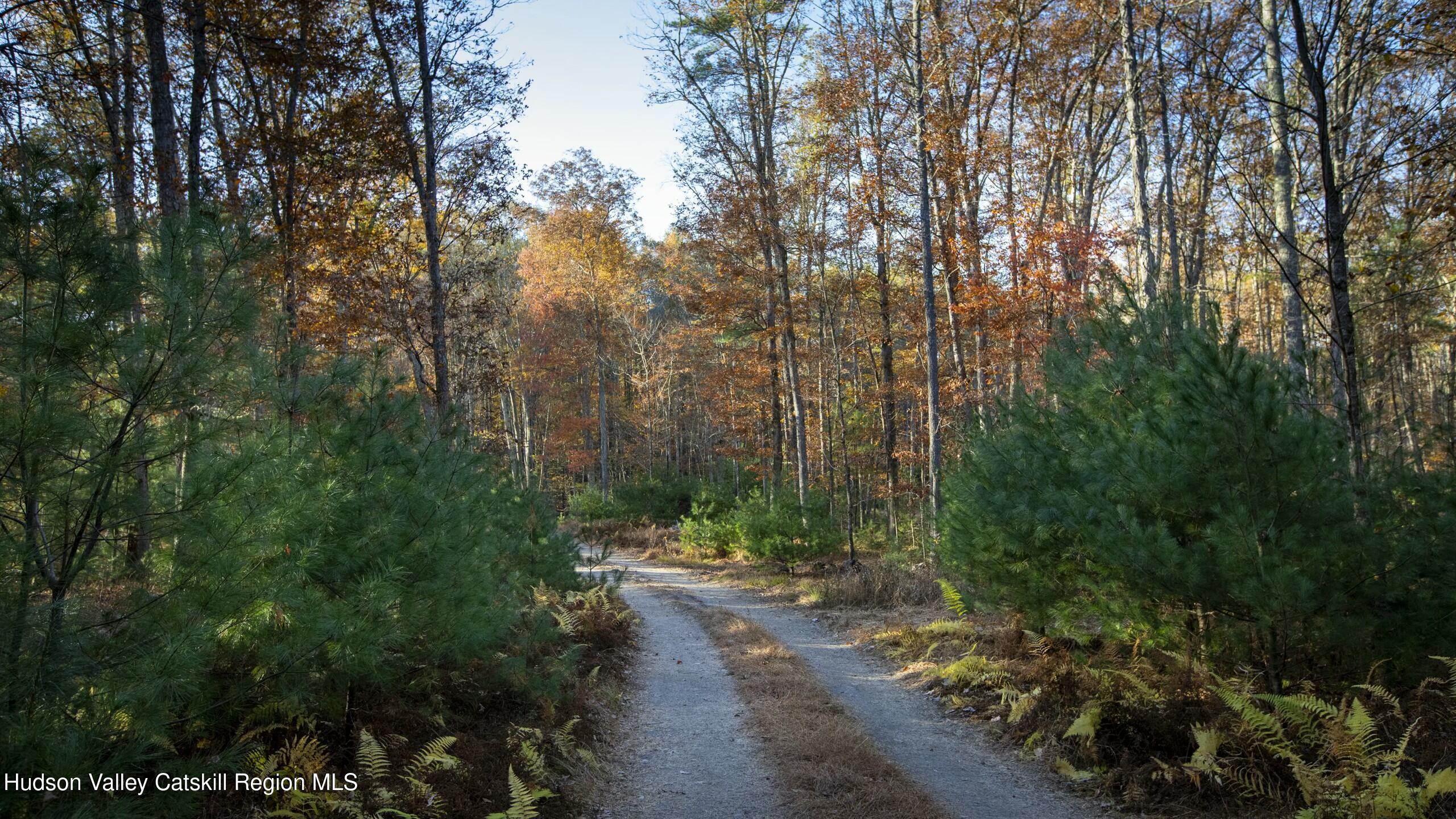 Woodstock, New York 12498, United States, ,Land,Active,80055