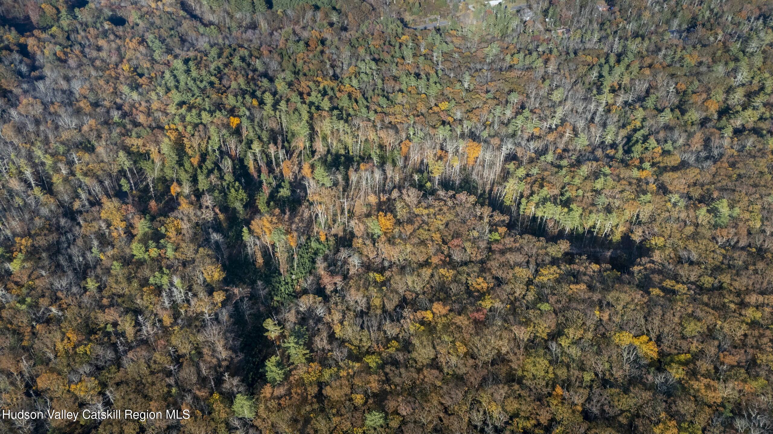 Woodstock, New York 12498, United States, ,Land,Active,80055