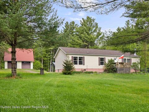 Photo of 137 Mountain Pond View Road, Gilboa, NY 12076 (MLS # 20262662)