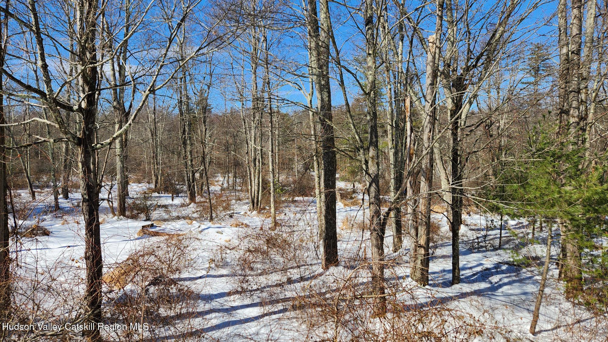 High Falls, New York 12440, United States, 3 Bedrooms Bedrooms, ,2 BathroomsBathrooms,Residential,Pending,78680