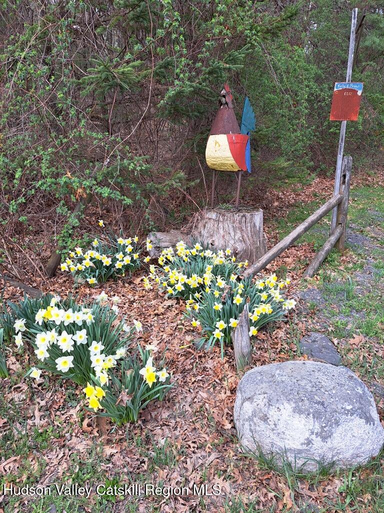 High Falls, New York 12440, United States, 3 Bedrooms Bedrooms, ,2 BathroomsBathrooms,Residential,Pending,78680