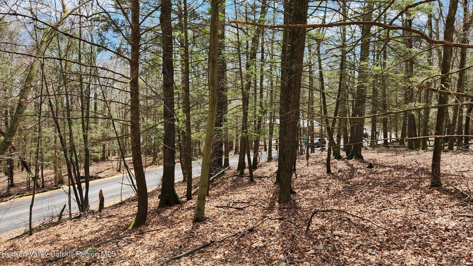 Stone Ridge, New York 12484, United States, ,Land,Pending,31439