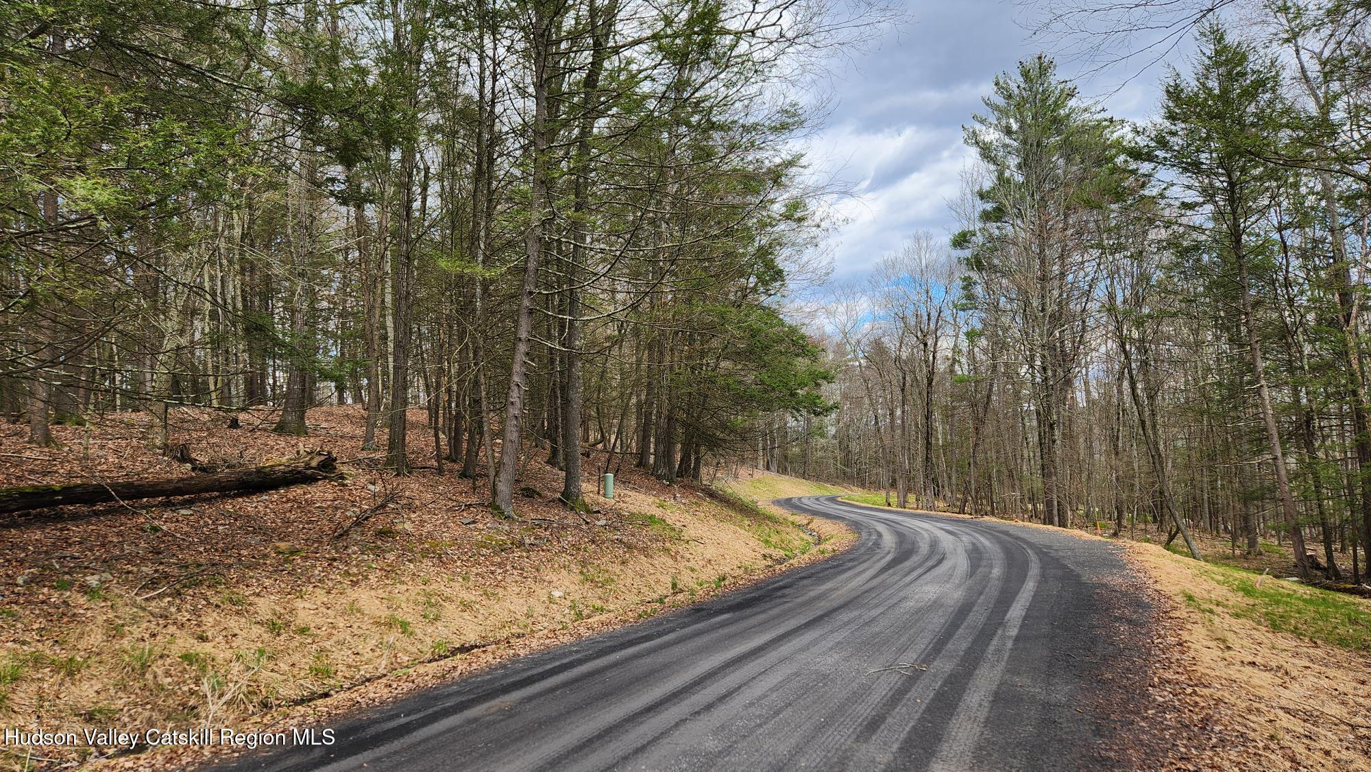 Stone Ridge, New York 12484, United States, ,Land,Pending,31439