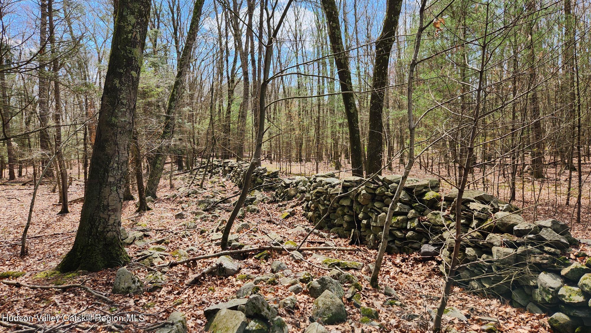 Stone Ridge, New York 12484, United States, ,Land,Pending,31439