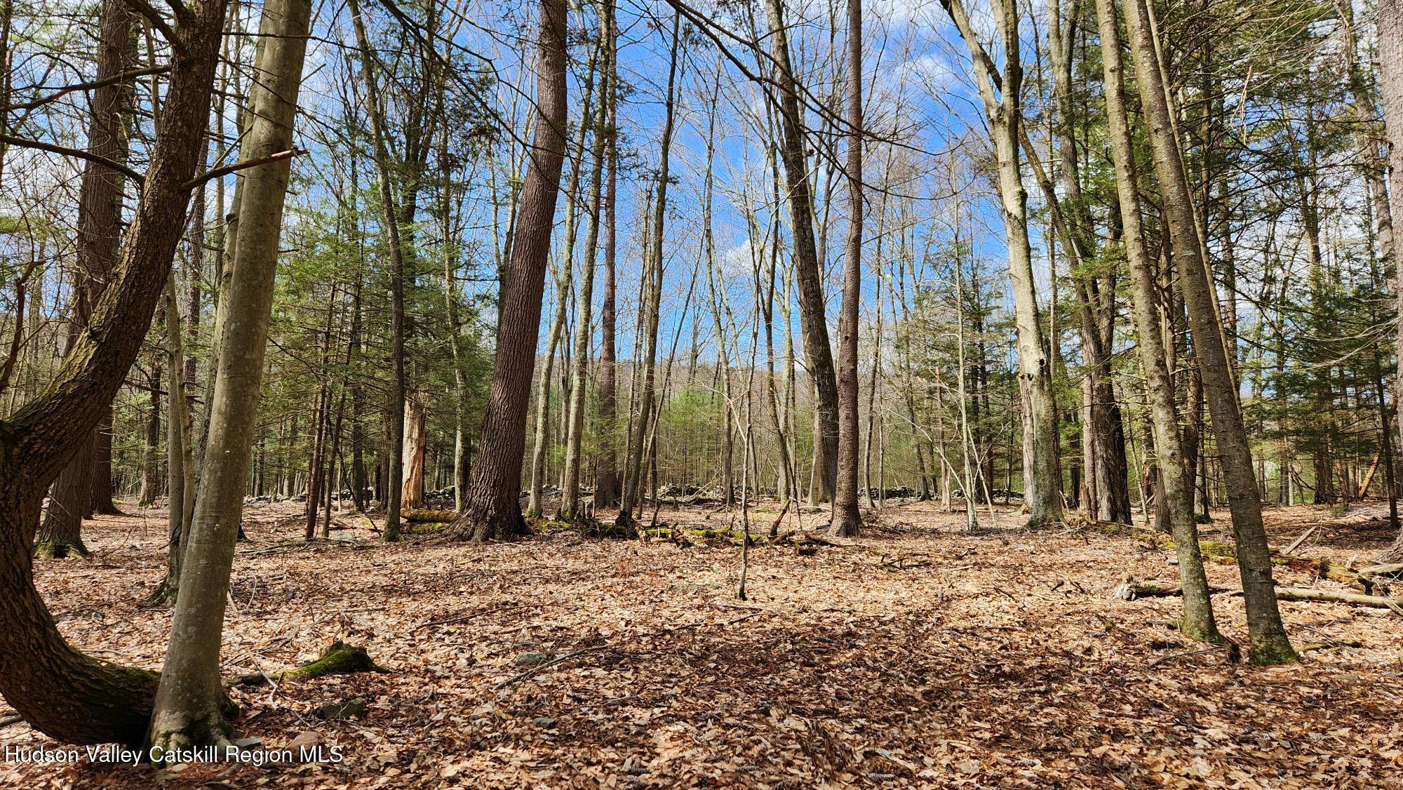 Stone Ridge, New York 12484, United States, ,Land,Pending,31439