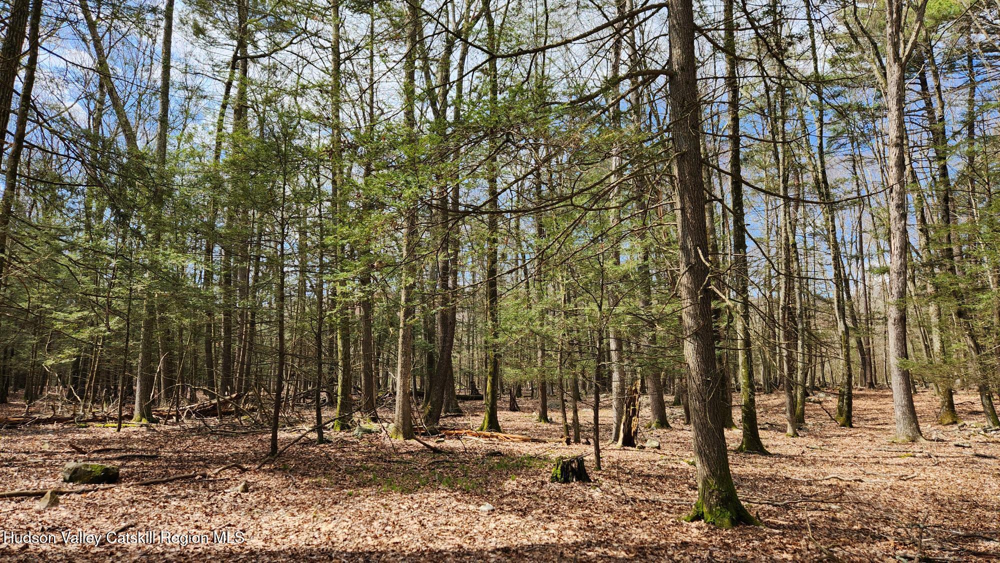 Stone Ridge, New York 12484, United States, ,Land,Pending,31439