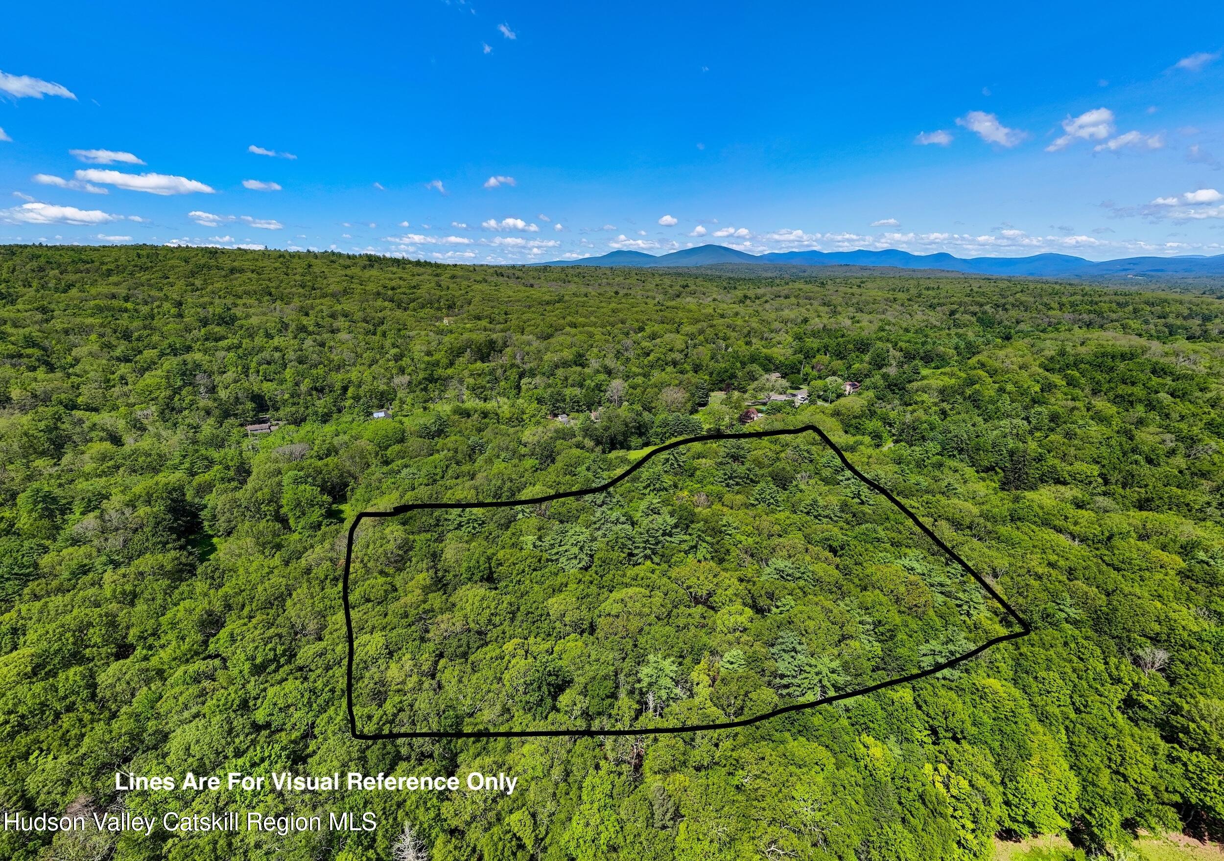 Stone Ridge, New York 12484, United States, ,Land,Pending,31439