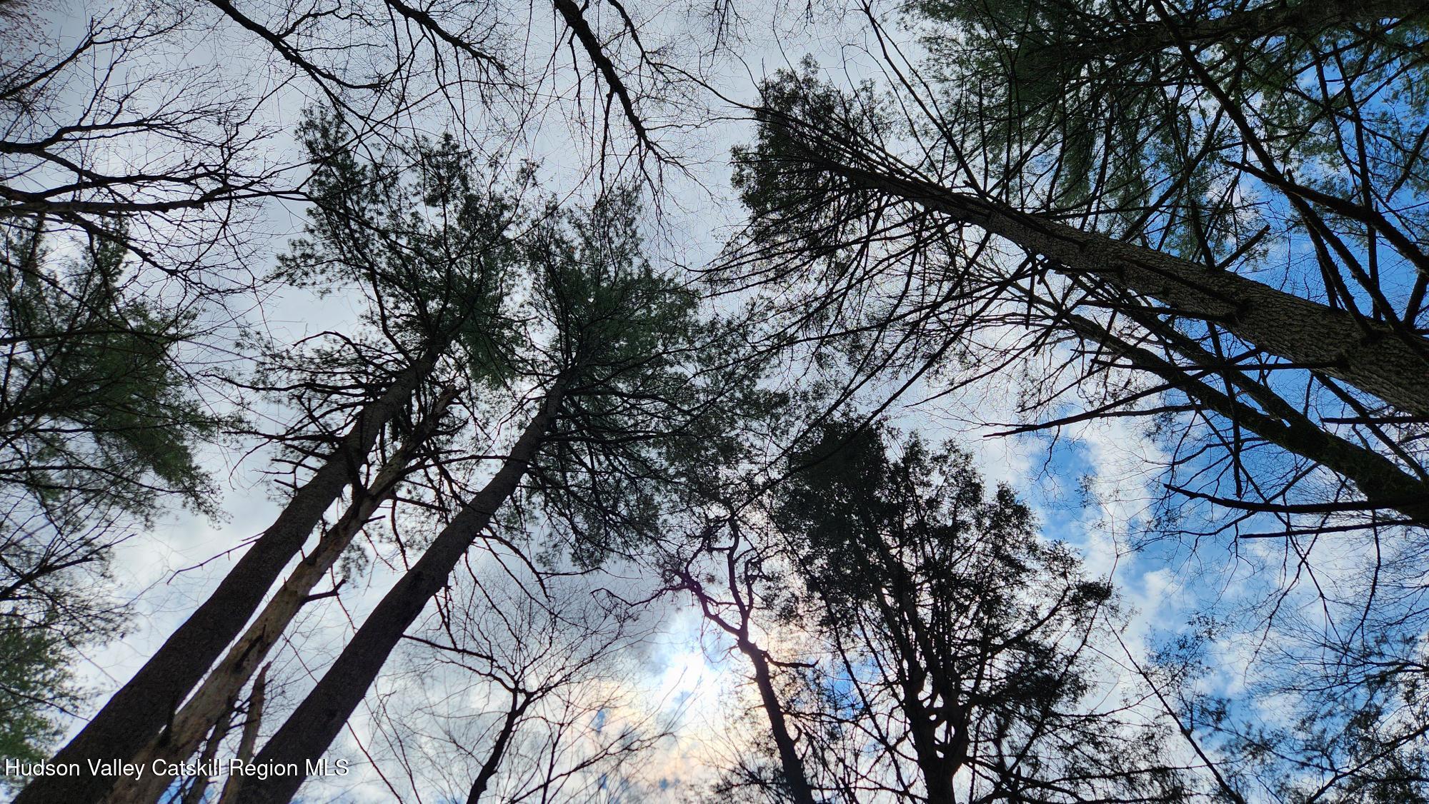 Stone Ridge, New York 12484, United States, ,Land,Pending,31439