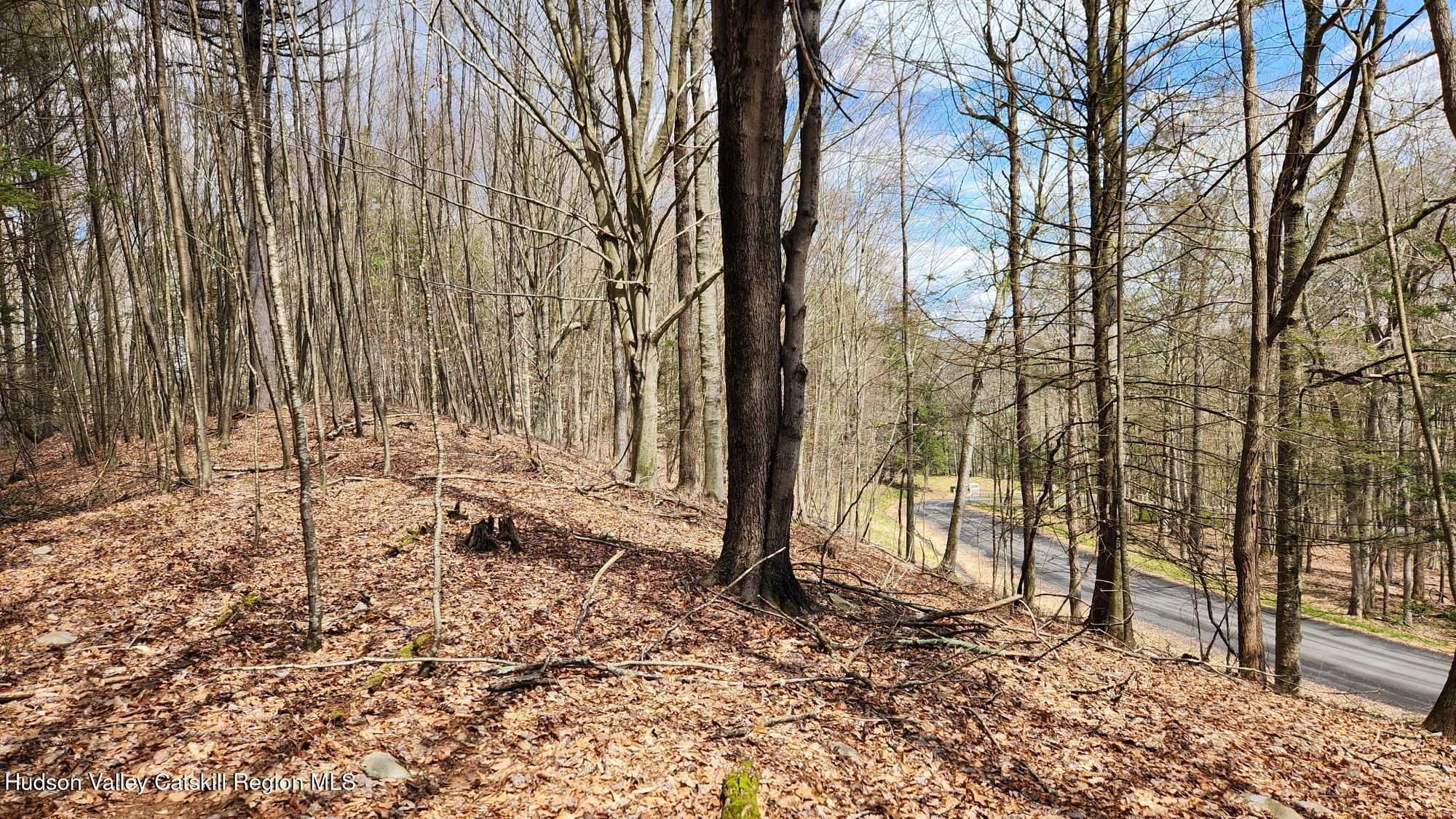 Stone Ridge, New York 12484, United States, ,Land,Pending,31439