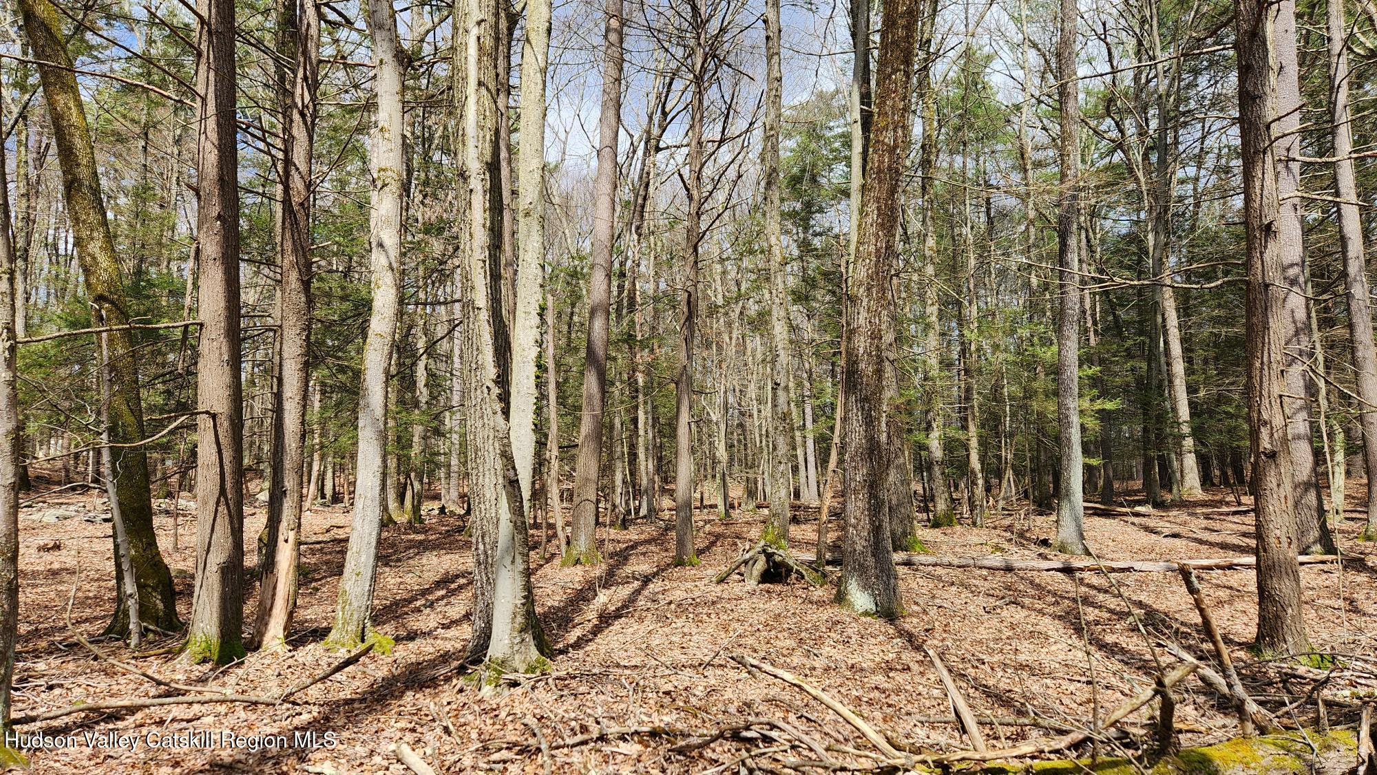 Stone Ridge, New York 12484, United States, ,Land,Pending,31439