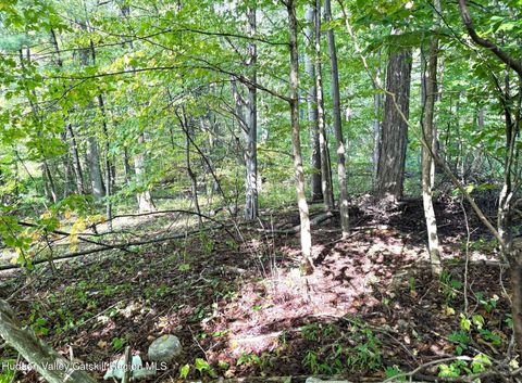 Vacant Land For Sale - Deerfield Road<br/> Boiceville, NY 12412