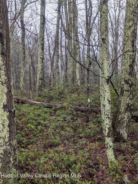 Vacant Land For Sale - 97 Otens Road<br/> Wawarsing, NY 12489