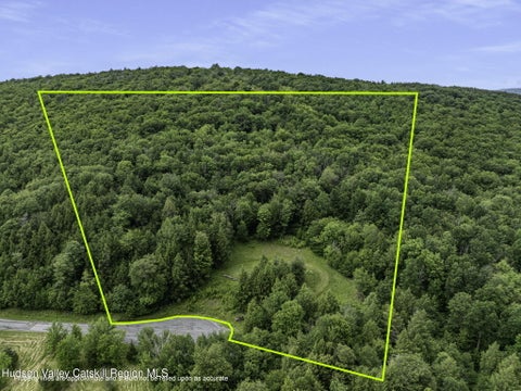 Vacant Land For Sale - L28.2 Deer Lane<br/> Lexington, NY 12452