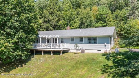 Photo of 110 Meadow Lane, Hillsdale, NY 12529 (MLS # 20254777)