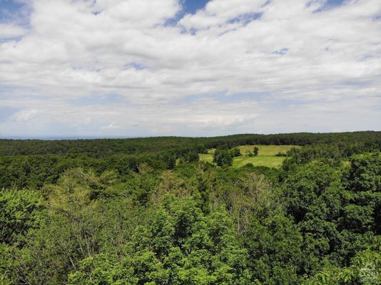 0 REED ROAD, AUSTERLITZ, NY 12017 - Image 56ab0628905aa5f5bf69dec8dbaa31fc/1473867152