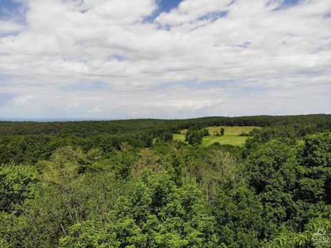 Vacant Land For Sale - Reed Road<br/> Austerlitz, NY 12017