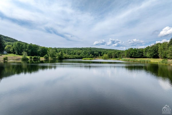 105 NORTON ROAD, CANAAN, NY 12037 - Image 56b3a2a0cc4776e1c96d4922e1e30edd/2806590149